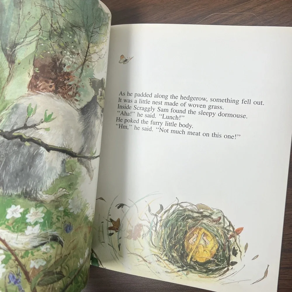 THE SLEEPY DORMOUSE (MARK EZRA/GAVIN‎ ROWE COLLECTION) Mint Condition 1995